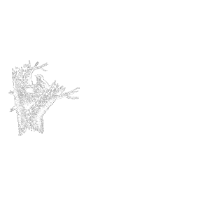 Feathered Nest Photography Logo
