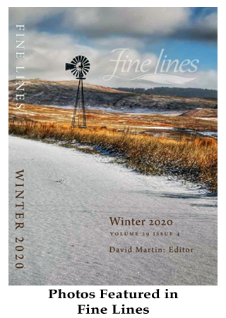 FineLinesCover_lg Fine Lines