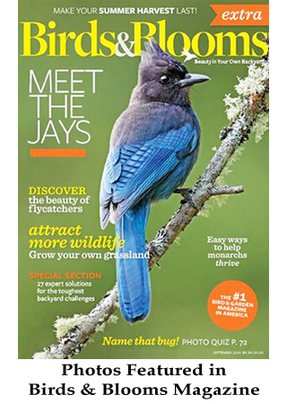 birds-and-blooms-magazine-cover_med Birds & Blooms Magazine